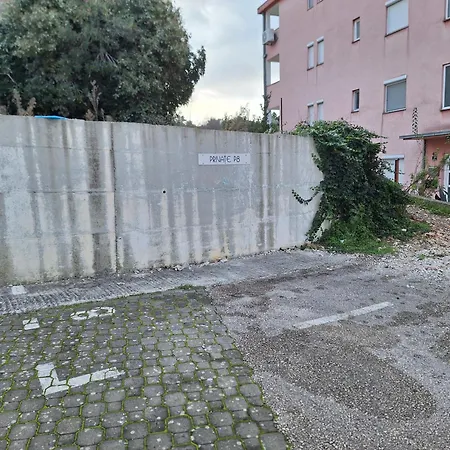 Amara * تروغير