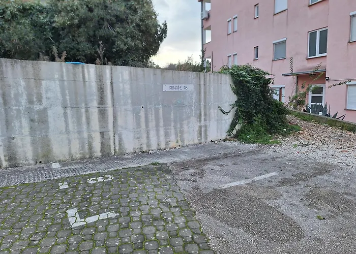 Amara * טרוגיר